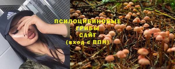 марки lsd Билибино