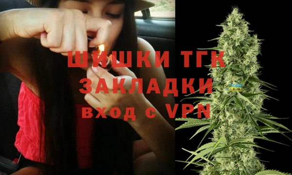 PSILOCYBIN Лагань