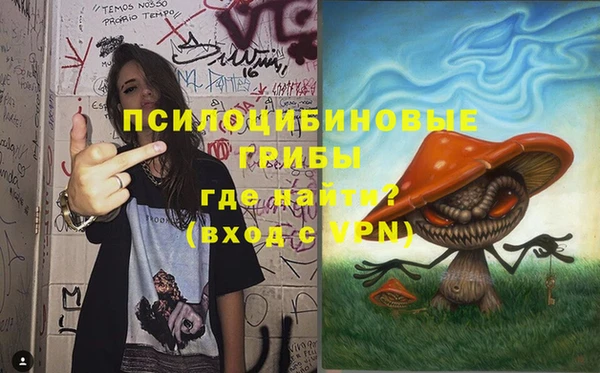 apvp Ладушкин